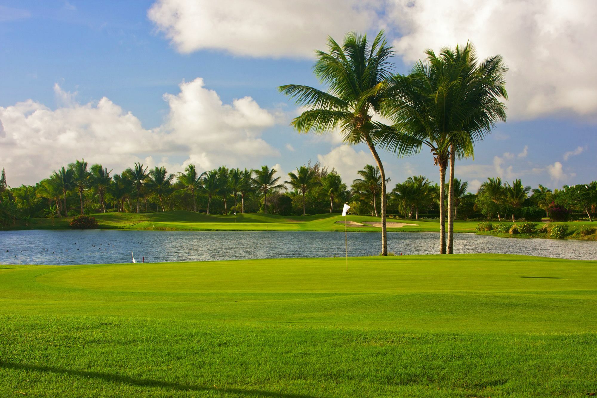 Royal Service At Paradisus Palma Real (Adults Only) Punta Cana Esterno foto